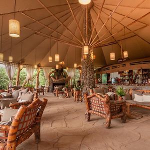 Kibo Safari Camp